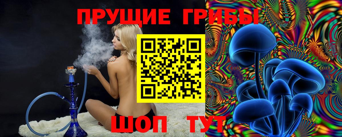 Псилоцибиновые грибы прущие грибы Углич